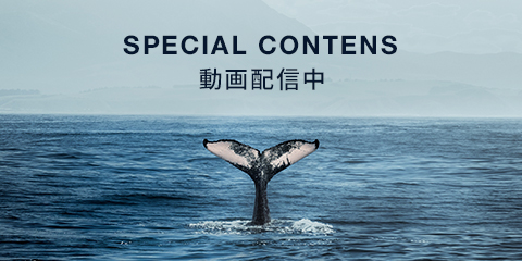 NEW SPECIAL CONTENTS 動画配信中
