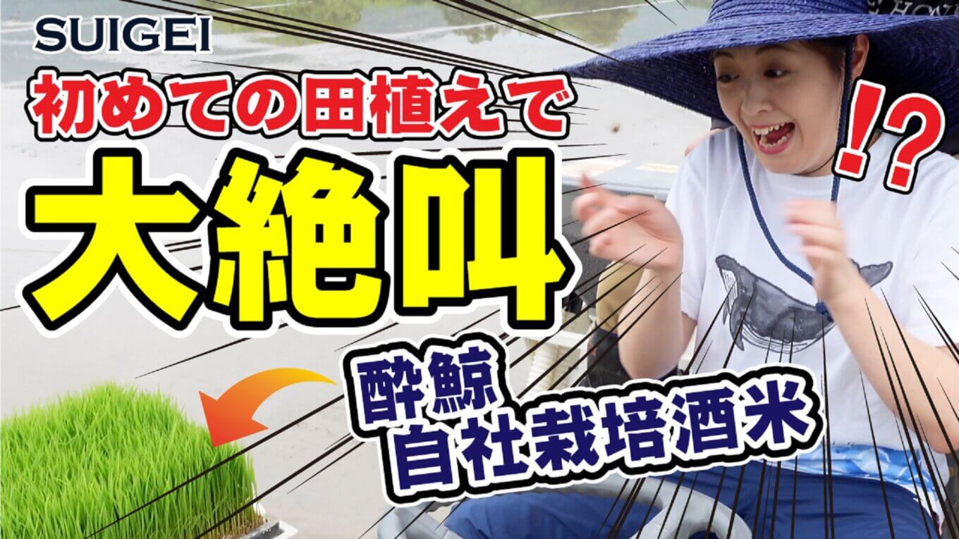 日本酒女子大絶叫！初めての「酒米」田植え作業に挑戦！